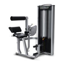 Impact Gym Fitness Equipment Machine d&#39;exercice d&#39;extension de dos